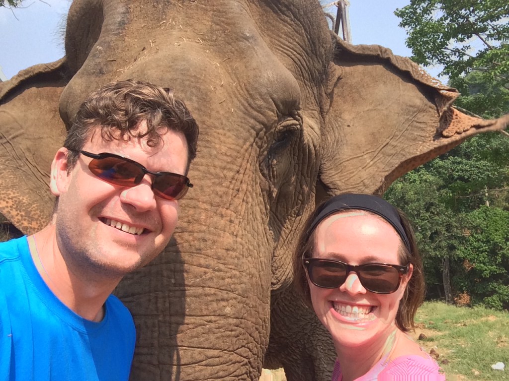 Elephant selfie