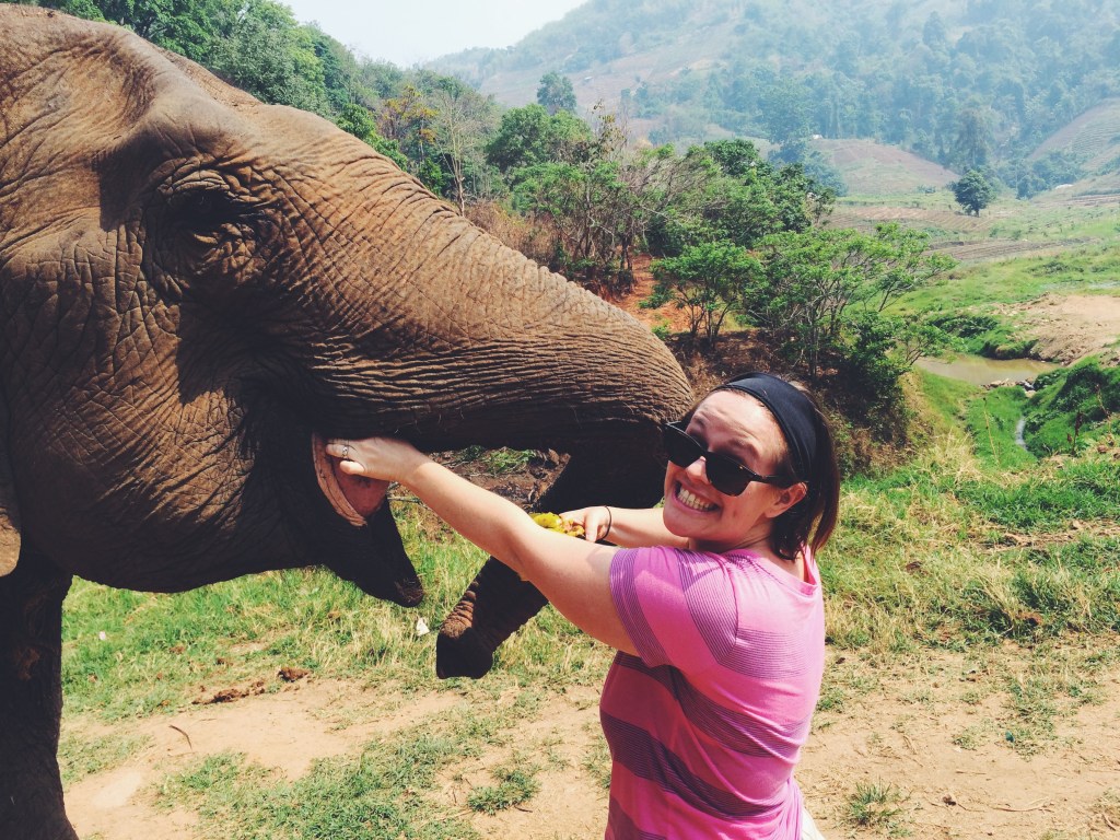 Feeding the elephant