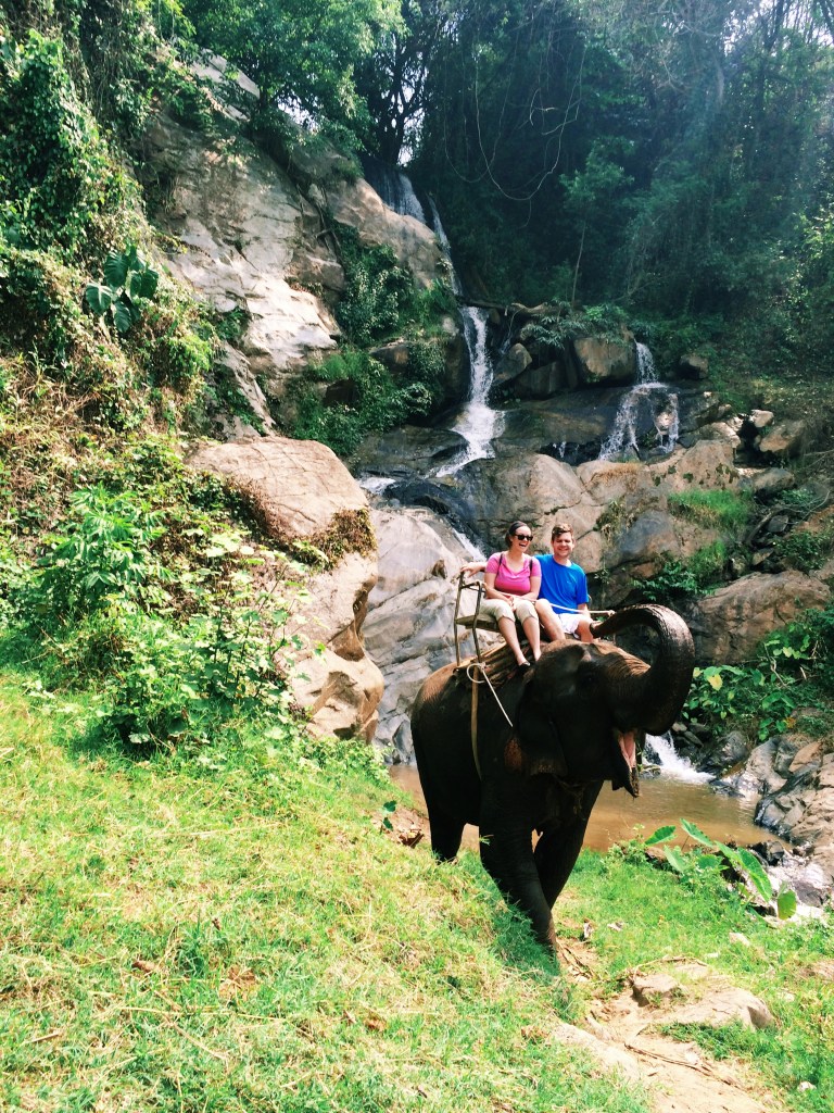 An elephant and a waterfall