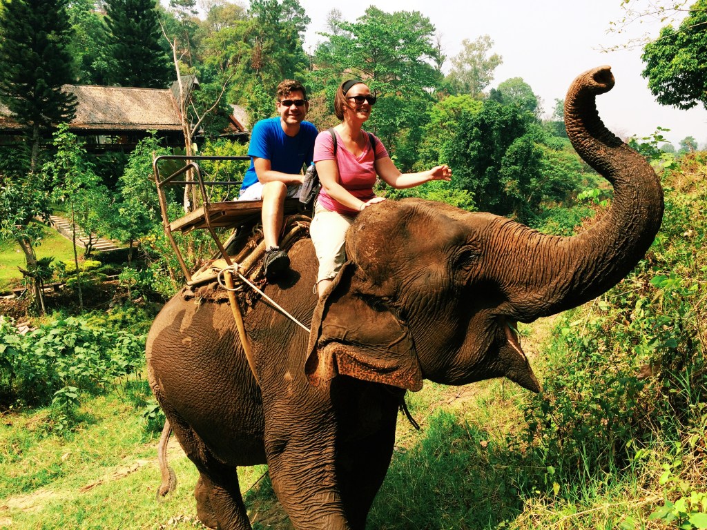 Riding the elephant