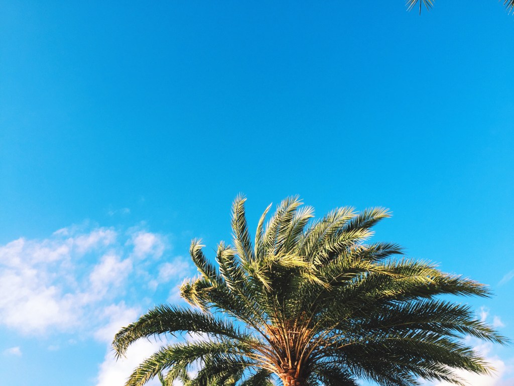 Processed with VSCOcam with k2 preset