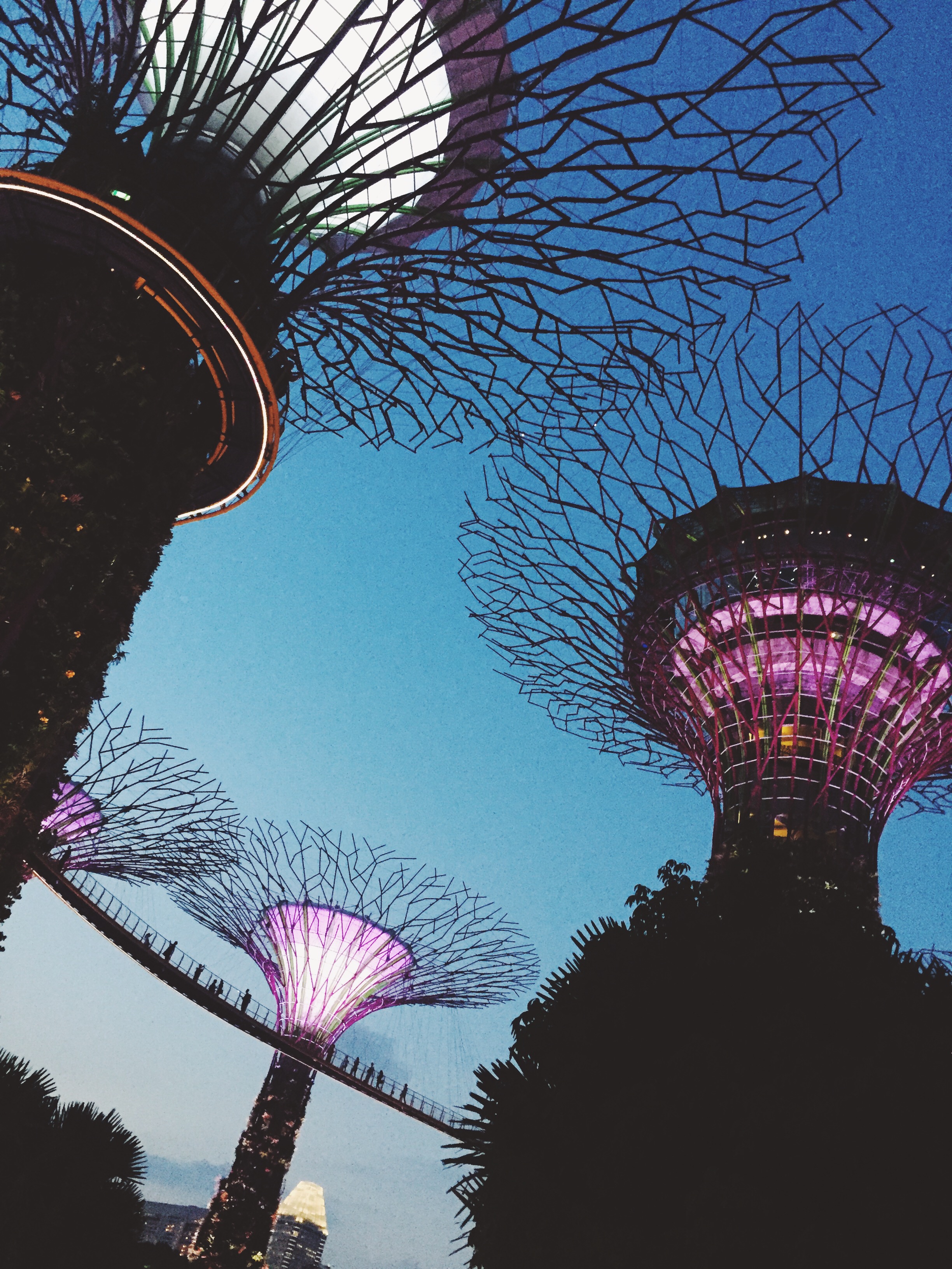 Processed with VSCOcam with f3 preset