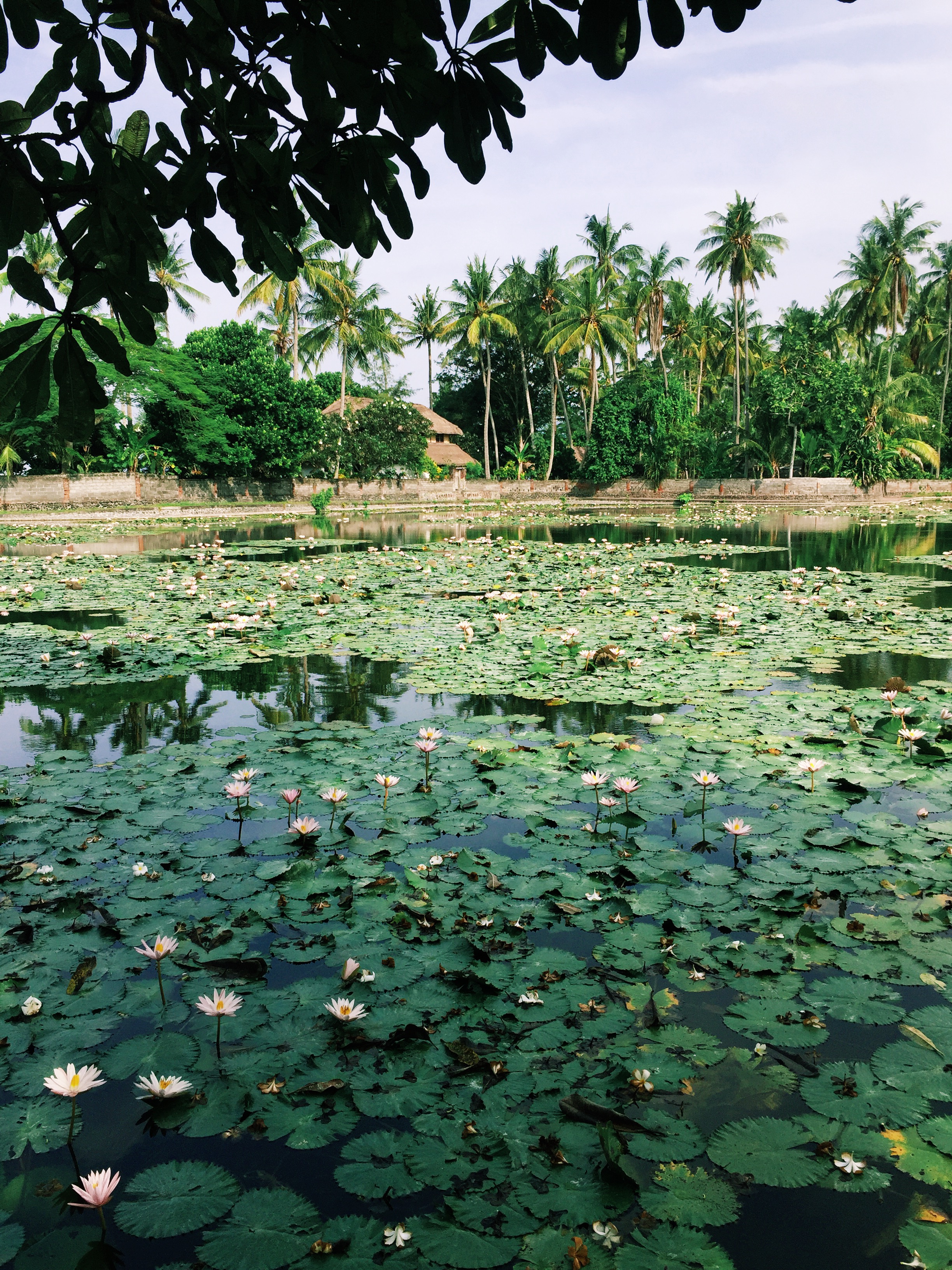 Processed with VSCO with k1 preset