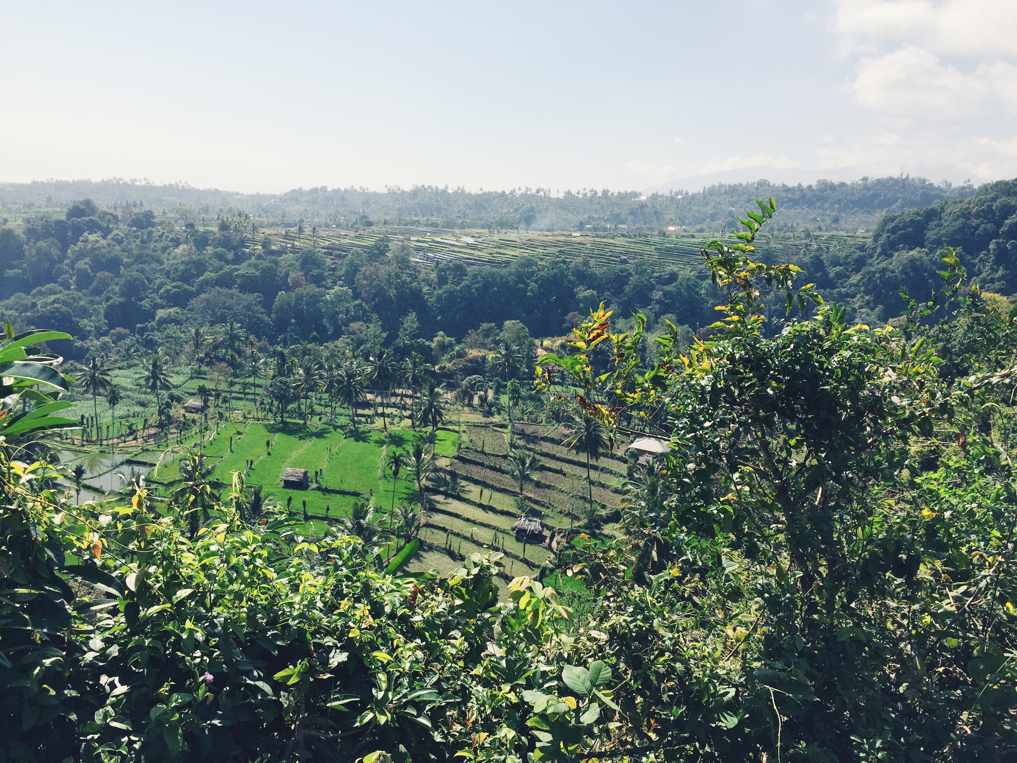 Processed with VSCOcam with c2 preset