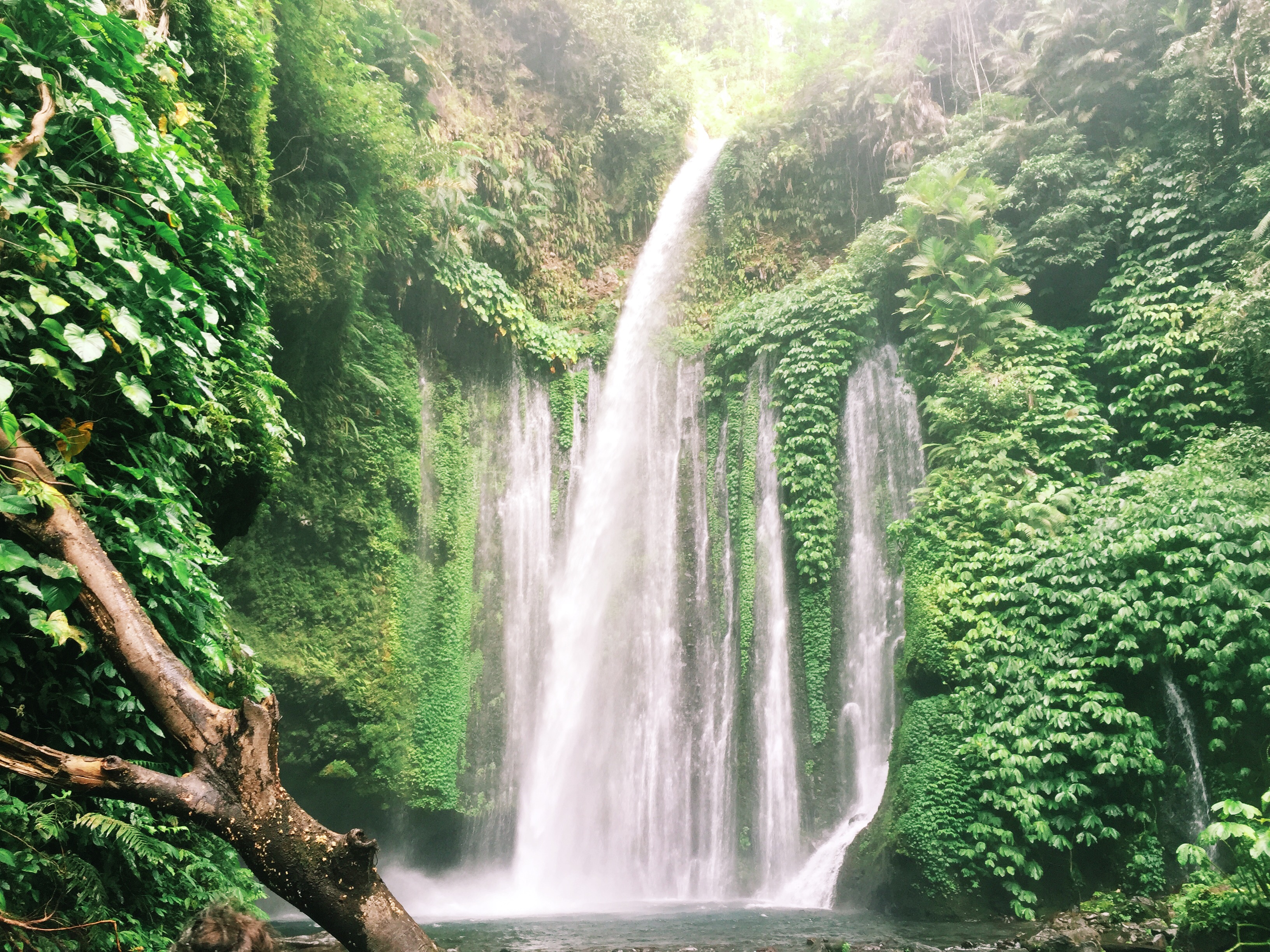 Processed with VSCO with k1 preset