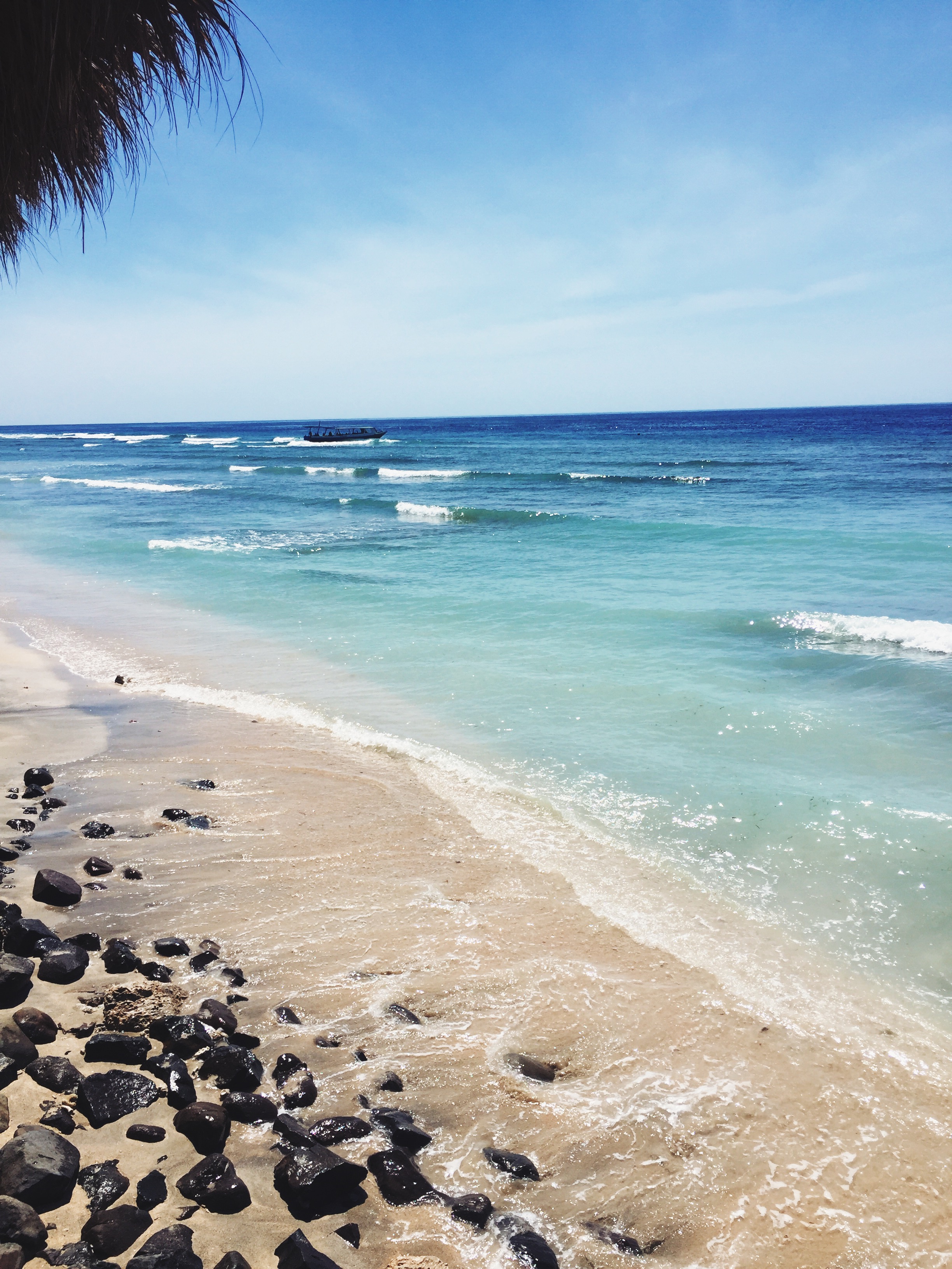 Processed with VSCO with lv01 preset