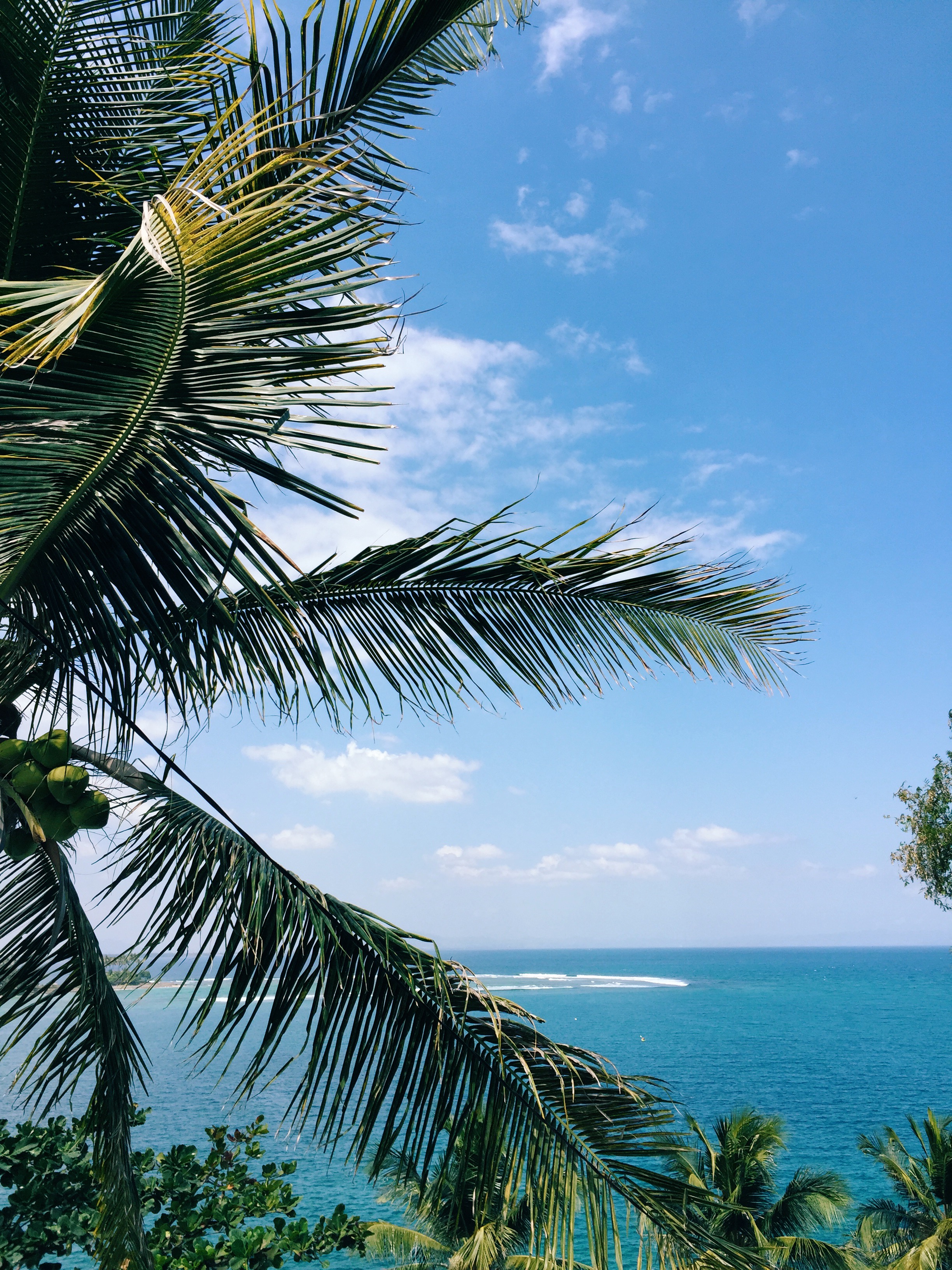 Processed with VSCOcam with c3 preset