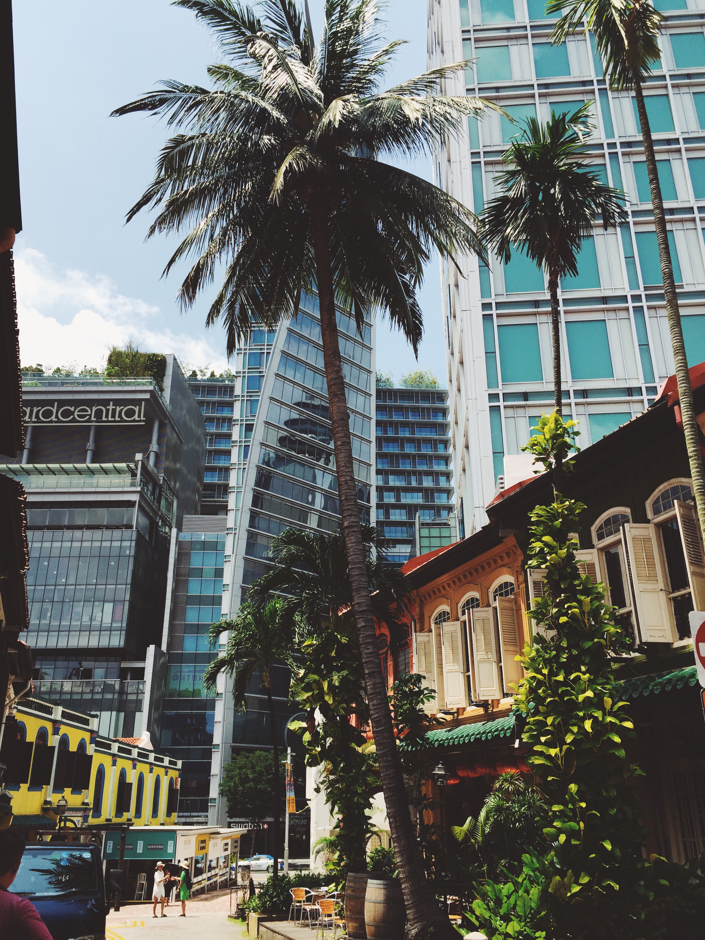 Processed with VSCOcam with f3 preset